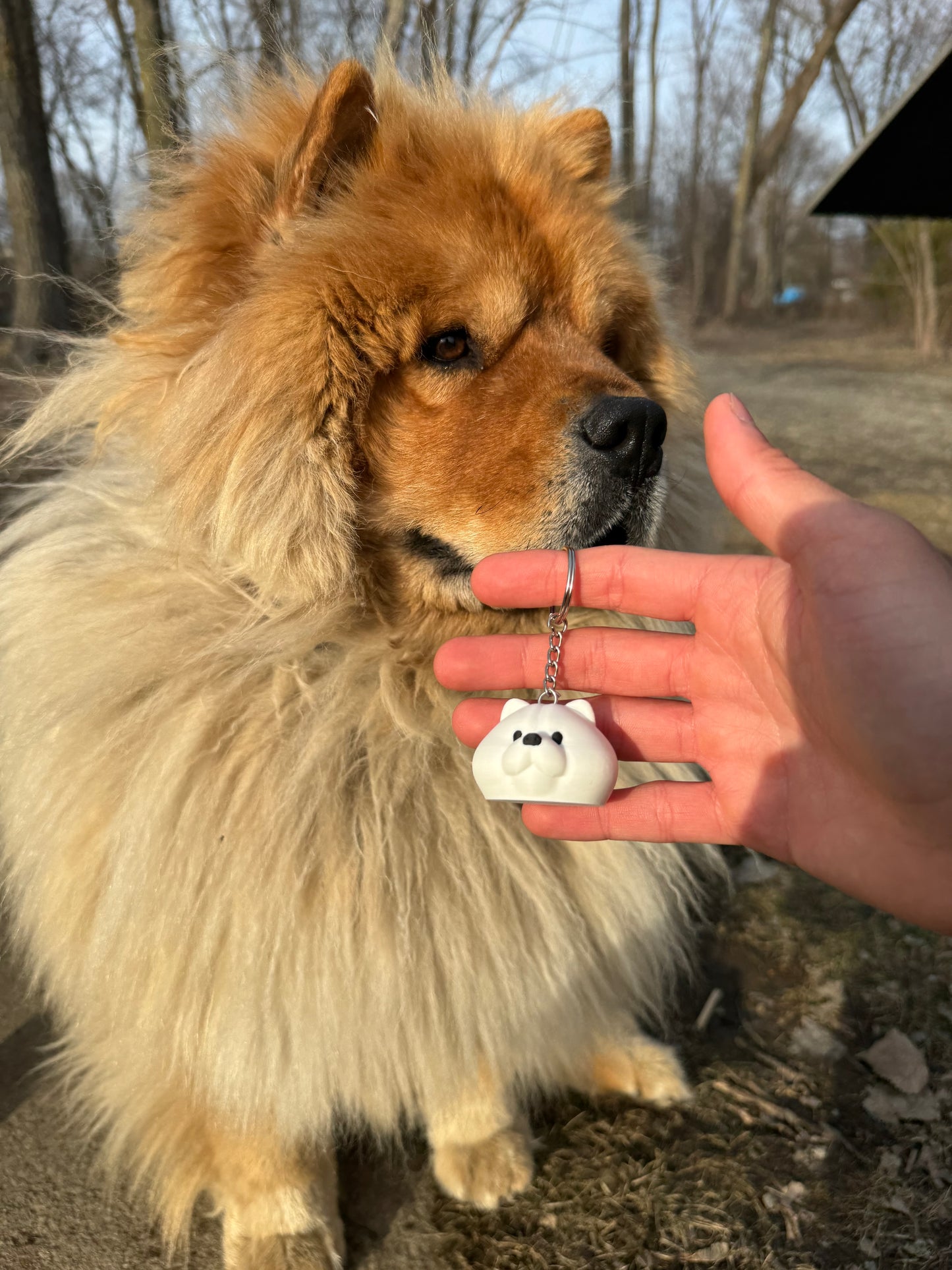 Chow Chow NFC Keychain