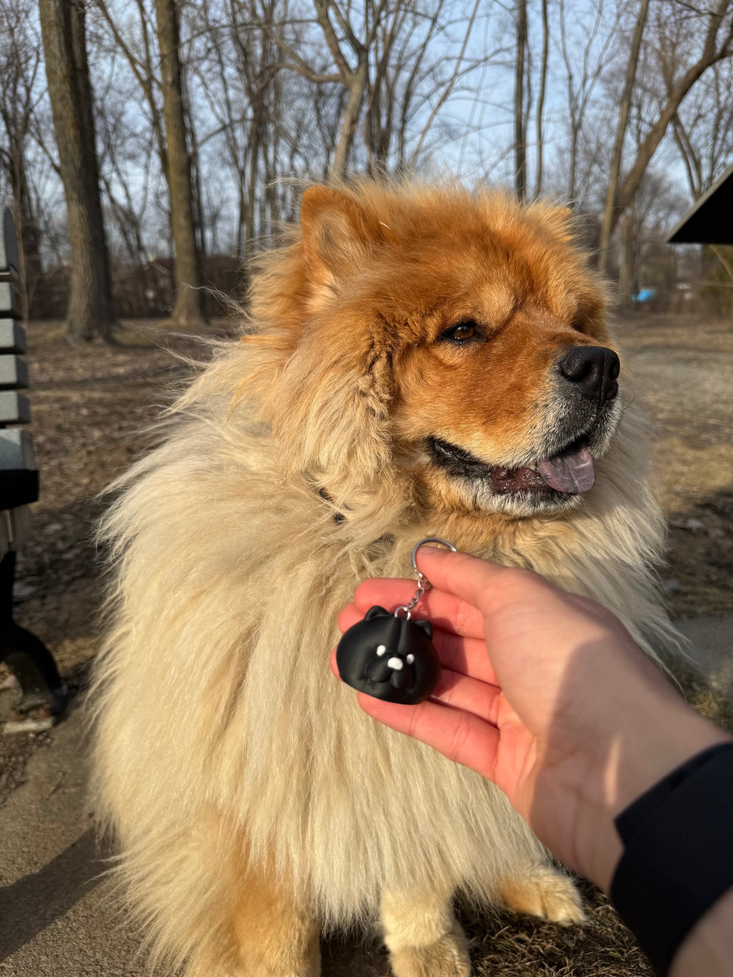 Chow Chow NFC Keychain
