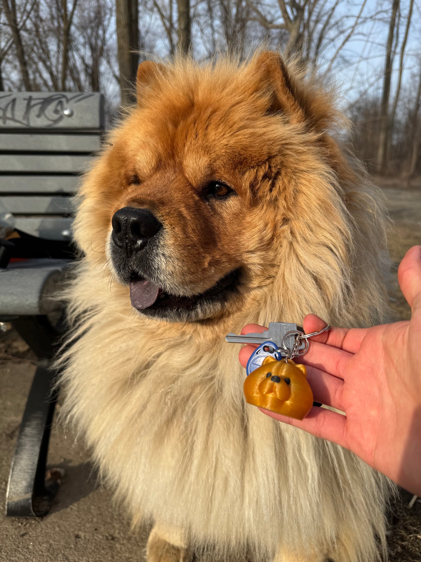 Chow Chow NFC Keychain